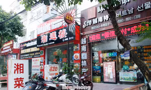 Biển hiệu, banner chữ nước ngoài cũng "bủa vây" đường Ngô Tất Tố thuộc phường Võ Cường (thành phố Bắc Ninh).