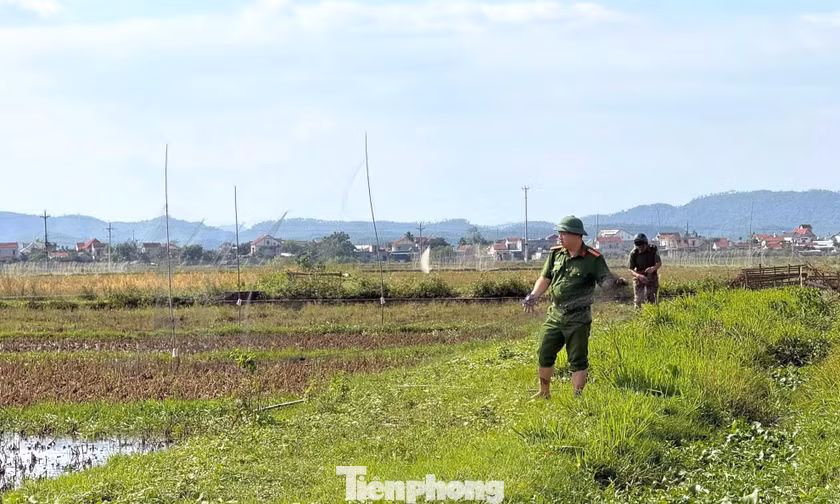 Công an lội ruộng gỡ 'ma trận' bẫy, ngăn nạn tận diệt chim trời