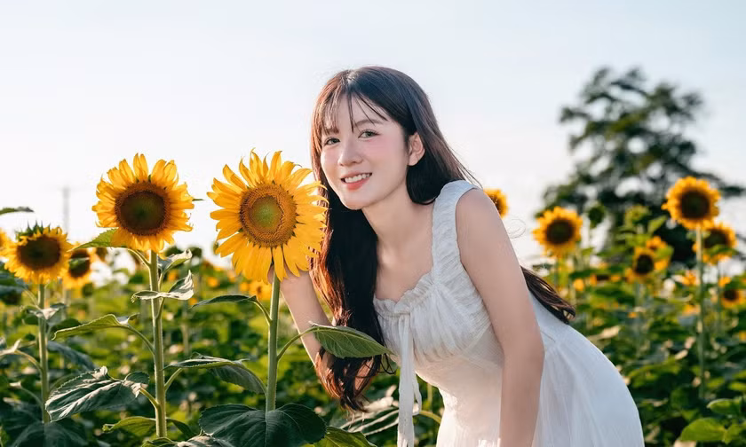Giới trẻ đổ về săn ảnh ở cánh đồng hoa hướng dương lớn nhất Việt Nam