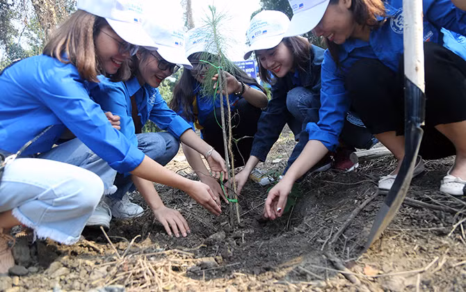 Đoàn viên, Thanh niên, Sinh viên, Học sinh trồng cây hàng nghìn cây xanh tại khu di tích K9