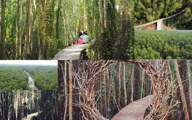 Làng nổi Tân Lập "gần xịch" Sài Gòn đang mùa đẹp nhất, xách balo lên và đi thôi!