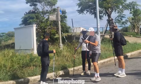 Cảnh báo việc trekking tự phát ở rừng đặc dụng Sơn Trà