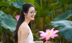 Giới trẻ chi tiền triệu chụp bộ ảnh sen Hồ Tây