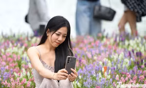 Nàng thơ nô nức check-in với loài hoa mới lạ ở Bờ Hồ 
