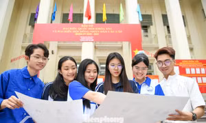 Tiếng nói từ giảng đường gửi gắm vào hòm phiếu