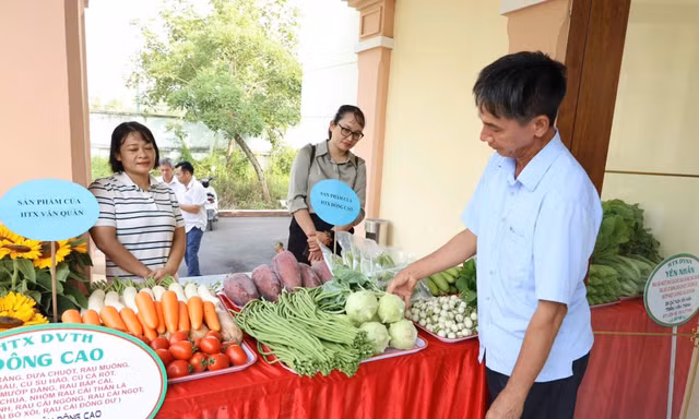 Hà Nội: Gỡ rào cản tiêu thụ nông sản bằng chuỗi liên kết “4 nhà”