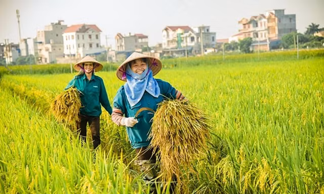 Nông nghiệp và Môi trường Hà Nội tăng trưởng 3,54%