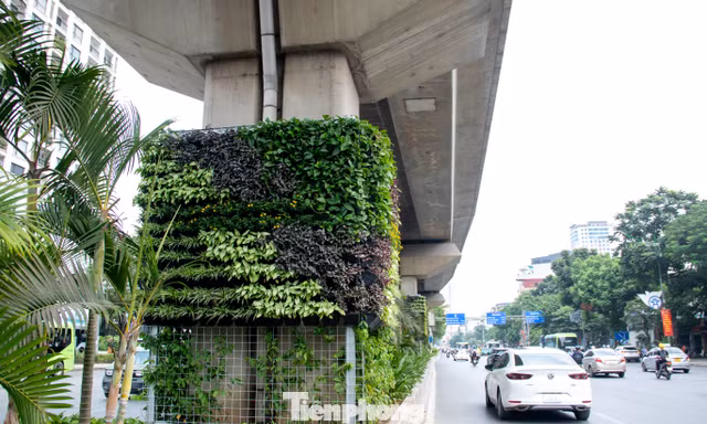 Trụ đường sắt, hầm chui Hà Nội 'lột xác' sau khi phủ cây xanh