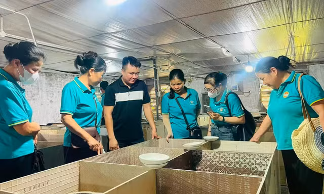 Làm giàu từ mô hình nuôi dúi má đào ở Phú Xuyên