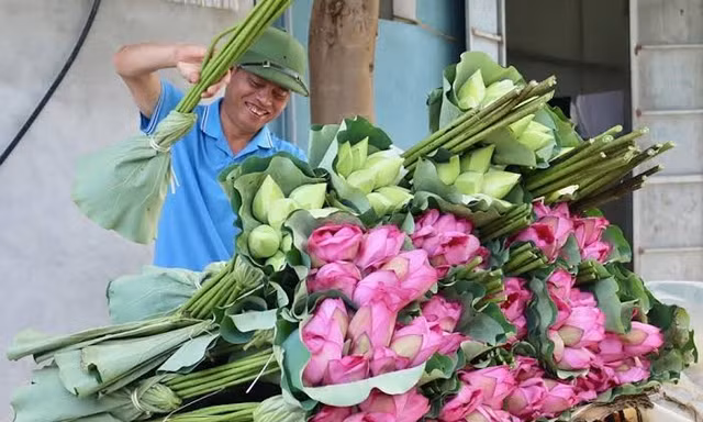 Đưa nông sản Hà Nội tiếp cận thị trường cao cấp nhờ chế biến sâu và số hóa