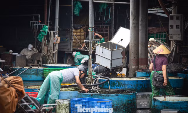 Sau lệnh giải tỏa, chợ cá Yên Sở vẫn tấp nập buôn bán