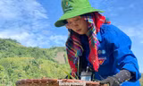 Hè tình nguyện đầy ý nghĩa vì cộng đồng 