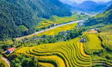 Bức tranh mùa thu ruộng bậc thang không thể rời mắt ở Sơn La 