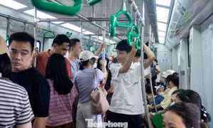 Miễn phí vé dịp 2/9, tàu điện Hà Nội đón hơn 408.000 lượt khách