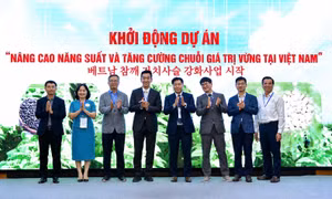 Sắp hình thành vùng sản xuất vừng hiện đại tại Nghệ An, Đồng Tháp
