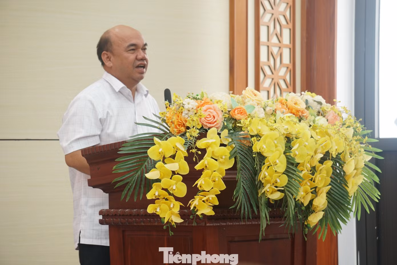 tp-c_dsc04221.jpg