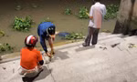 Hai thi thể dạt vào bờ sông Sài Gòn, một người mang theo cục bê tông