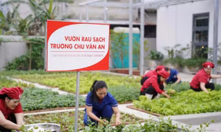 Cùng gieo thói quen sống khỏe từ bữa ăn học đường