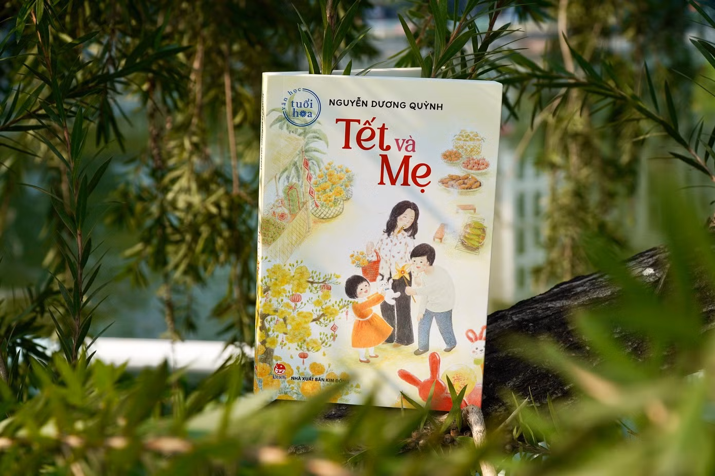 tet-va-me.jpg