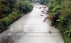 Thái Nguyên: Nước sông Cầu đổi màu bất thường, đục như nước vo gạo