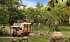 Hà Nội tiếp nhận ý kiến của người dân về dự án Safari Ba Vì