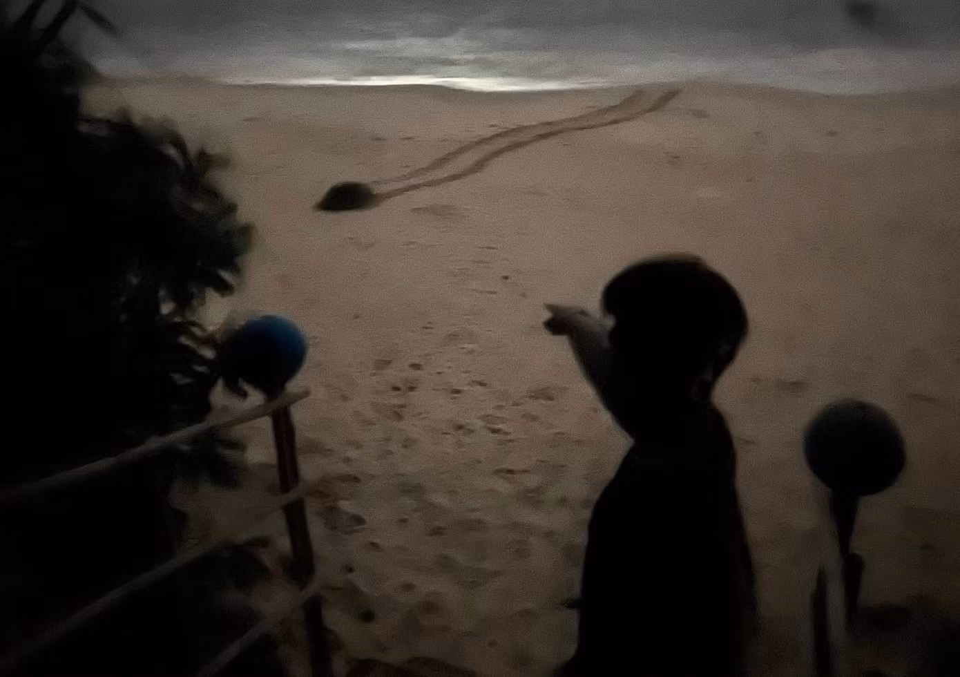 518954638-9495824640518557-2864955008053760922-n.jpg