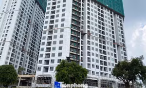 Doanh nghiệp ngoài ngành lấn sân làm bất động sản