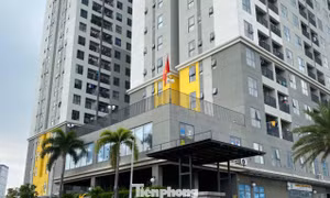 Hàng ngàn căn hộ chung cư, nhà liền kề được cấp sổ