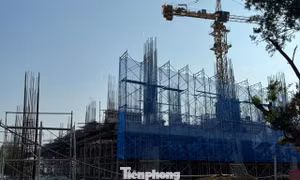 Giá căn hộ ở TPHCM giảm mạnh sau sáp nhập 