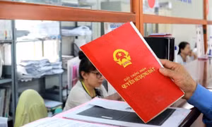 Số lượng sổ đỏ cấp lần đầu ở TPHCM giảm mạnh