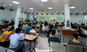 TPHCM: Chỉ đạo 'nóng' về hỗ trợ người dân nộp hồ sơ nhà đất