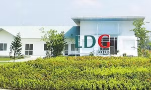 Nhiều doanh nghiệp bị nghi ngờ khả năng hoạt động liên tục