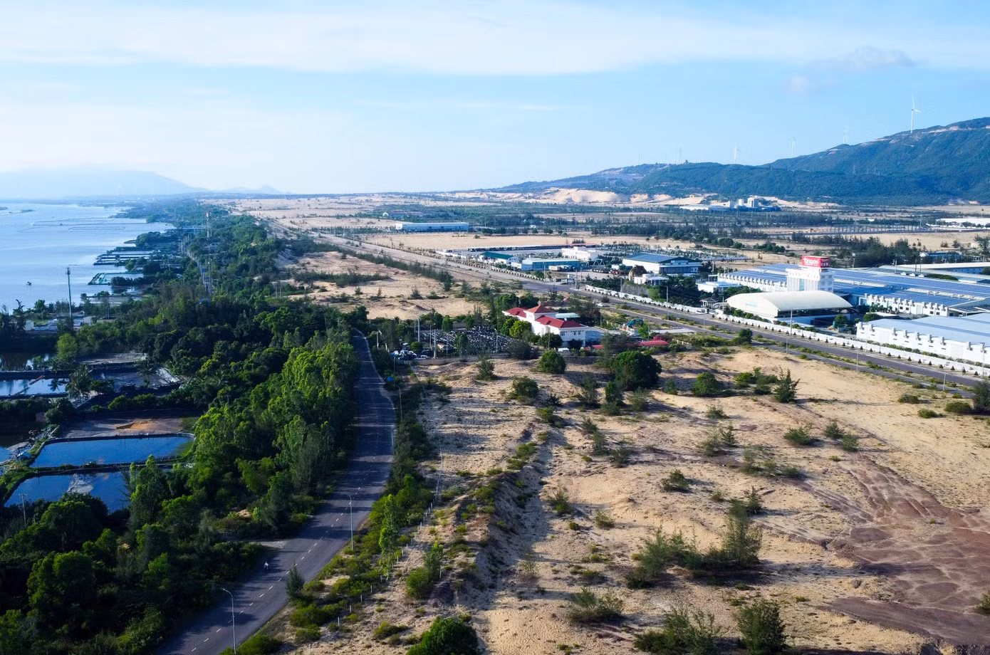 tien-phong.jpg