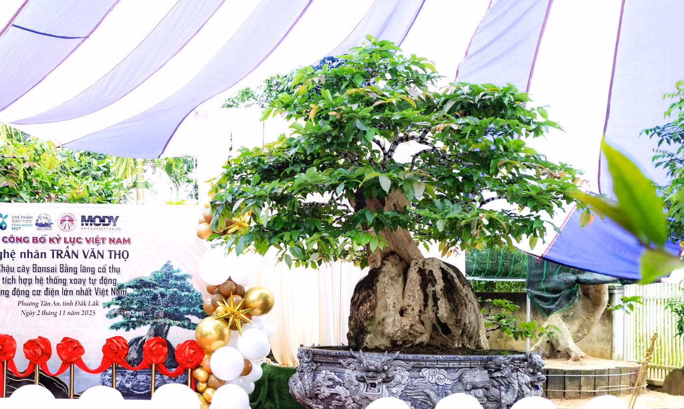tienphong-5.jpg