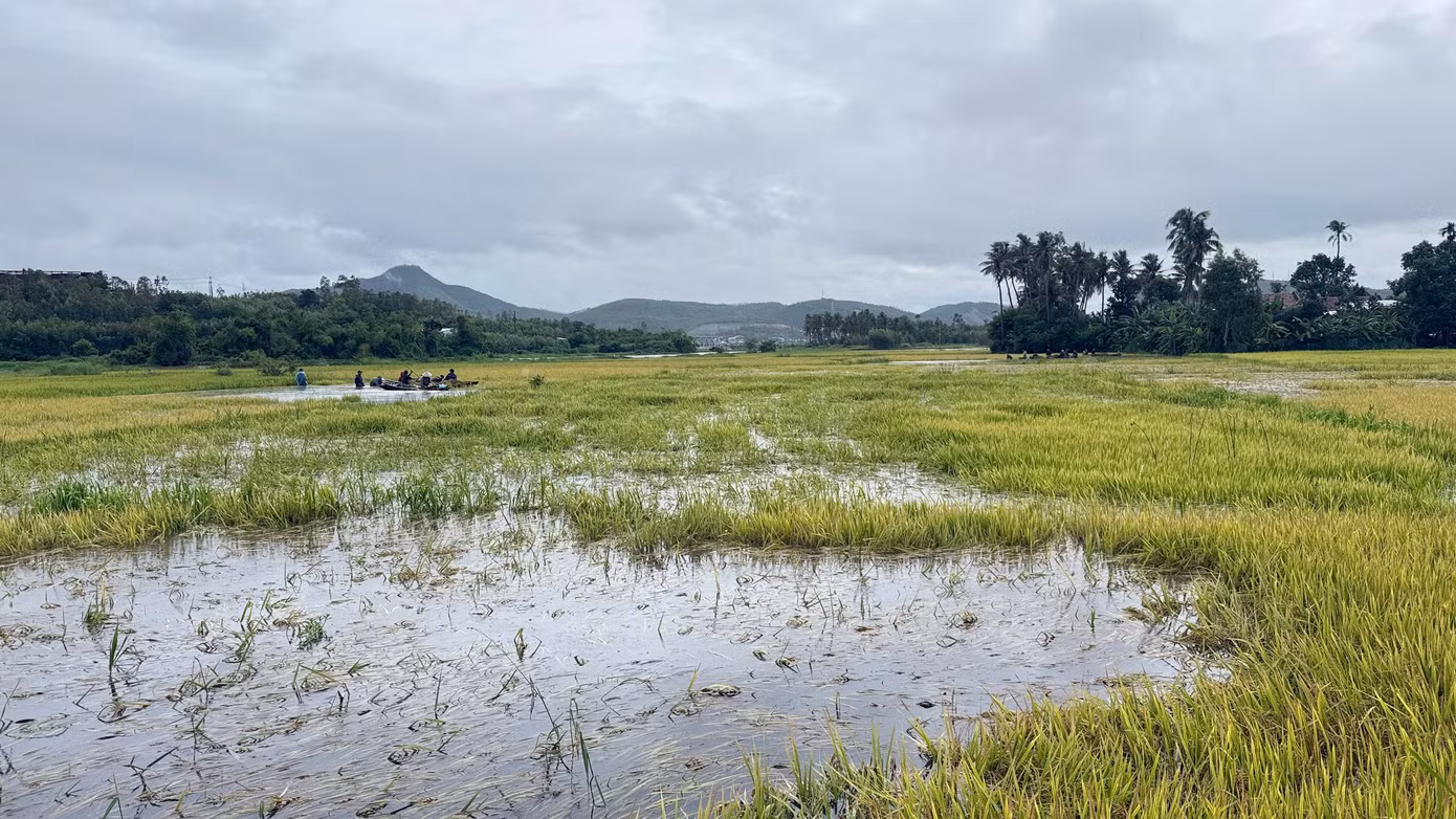 tienphong-9938.jpg