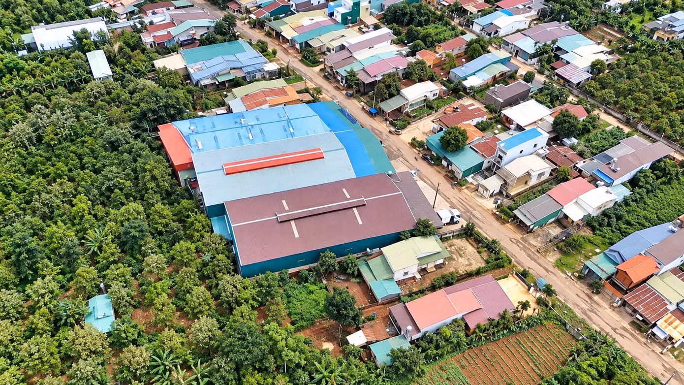 tienphong-3919.jpg