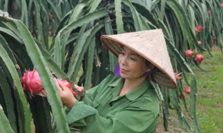Vùng đất khó khăn vươn lên mạnh mẽ khi tìm được hướng đi phù hợp