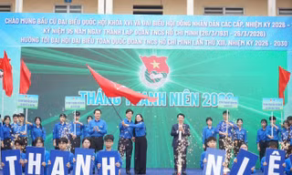 Hải Phòng: Nhiều hoạt động thiết thực tại Lễ khởi động Tháng Thanh niên 2026