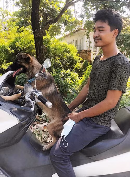 Chú chó đi lạc có cách cực thông minh để chủ tìm thấy mình, chủ cũng không tưởng tượng ra ảnh 3