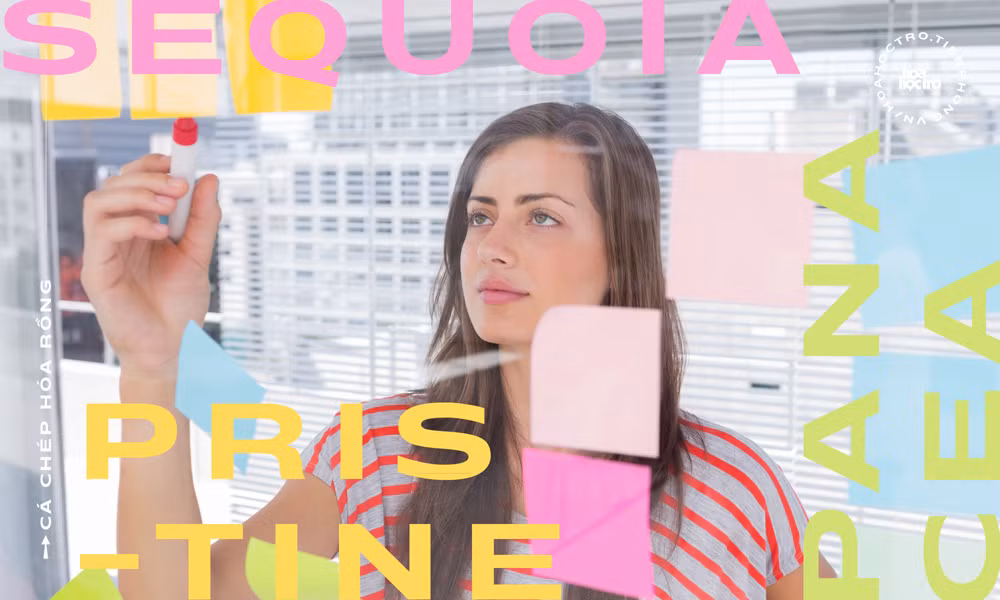 5 cách giúp bạn dịch tiếng Anh tốt hơn, đảm bảo giúp bạn chiếm trọn điểm phần dịch ảnh 7