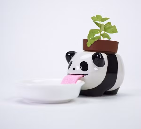 Giảm ra đường thì ở nhà trồng cây: Những chậu cây cưng xỉu, còn “tự uống nước” nữa này! ảnh 2