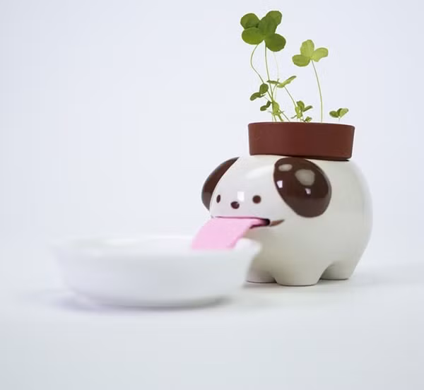 Giảm ra đường thì ở nhà trồng cây: Những chậu cây cưng xỉu, còn “tự uống nước” nữa này! ảnh 1
