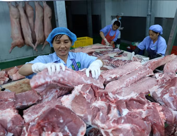 Chuỗi liên kết chăn nuôi phát huy hiệu quả, tăng nguồn cung thực phẩm cho dịp Tết ảnh 2