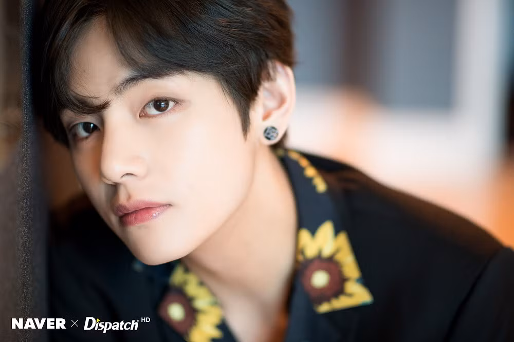 Trong thế giới fangirl: Người lạ hỏi có hiểu idol nói gì không, fangirl không muốn trả lời ảnh 3