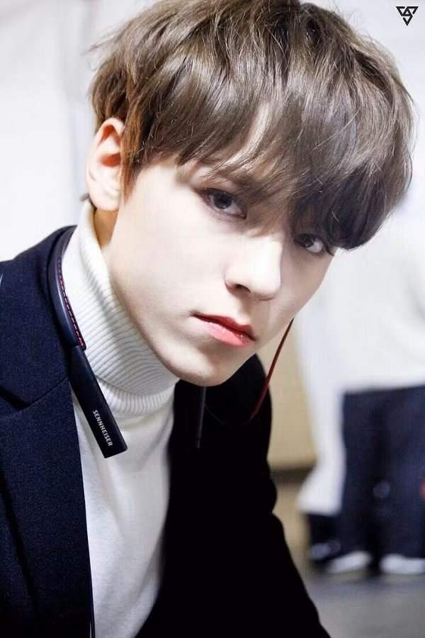 Trong thế giới fangirl: Vernon là chàng hoàng tử bạch mã của một cô gái thuở mộng mơ ảnh 2