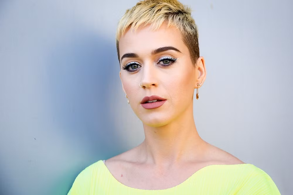 Trong thế giới fangirl: Dù phía trước tăm tối cũng phải tự rực sáng, như Katy Perry ảnh 2