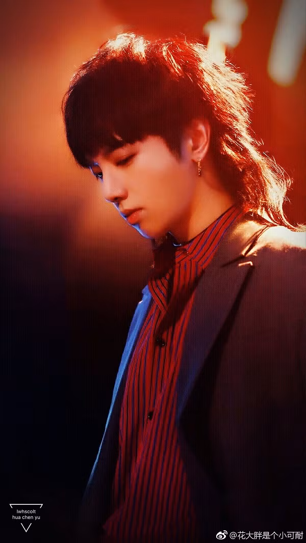 Trong thế giới fangirl: Càng lớn càng mất đi can đảm, rồi một ngày gặp được Hoa Thần Vũ ảnh 4