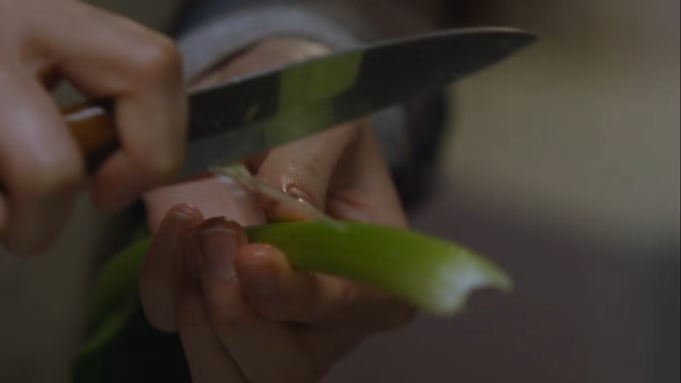 “Little Forest”: Bộ phim về những món ăn ngon và thông điệp chúng cất giấu của Ichiko ảnh 5