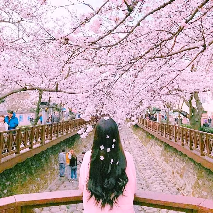 Cuộc thi viết Trà sữa cho tâm hồn: Em ơi đừng đợi nữa, kẻo thanh xuân úa tàn ảnh 1