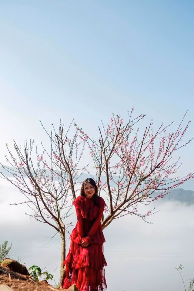 Lặng ngắm biển mây trên đỉnh Tà Xùa ảnh 4